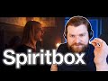 Vocal Coach Reacts | Spiritbox | Blessed be