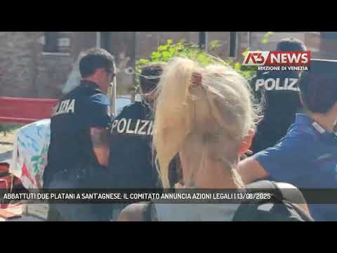 ABBATTUTI DUE PLATANI A SANT'AGNESE: IL COMITATO ANNUNCIA AZIONI LEGALI | 13/08/2025