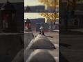 Warzone Pc Gameplay - Warzone Gameplay No Commentary