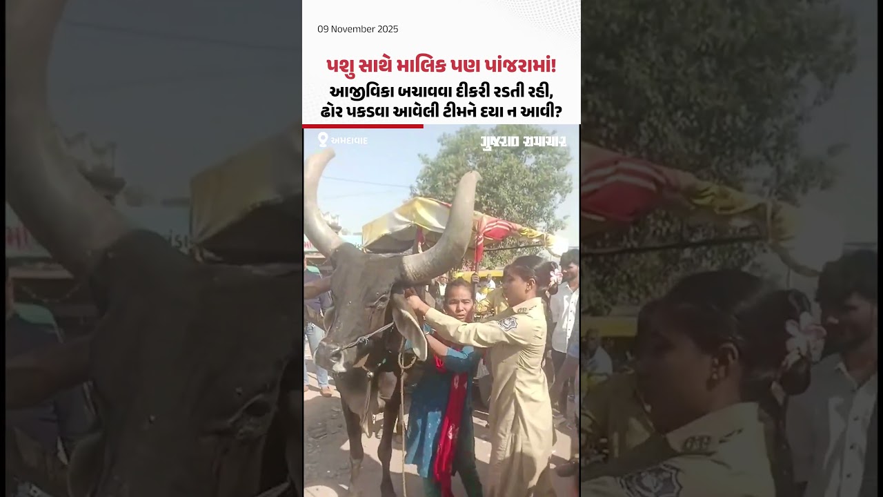 Ahmedabad: પશુ સાથે માલિક પણ પાંજરામાં! દીકરી રડતી રહી, ઢોર પકડવા આવેલી ટીમને દયા ન આવી?