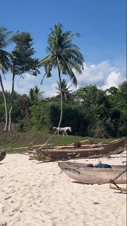 SIVA APRILIA : NAIK KUDA DI PANTAI DI TEMANIN PACAR