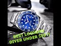 Nibosi 40 mm Diver - Most Affordable Submariner Homage Watch Under $50
