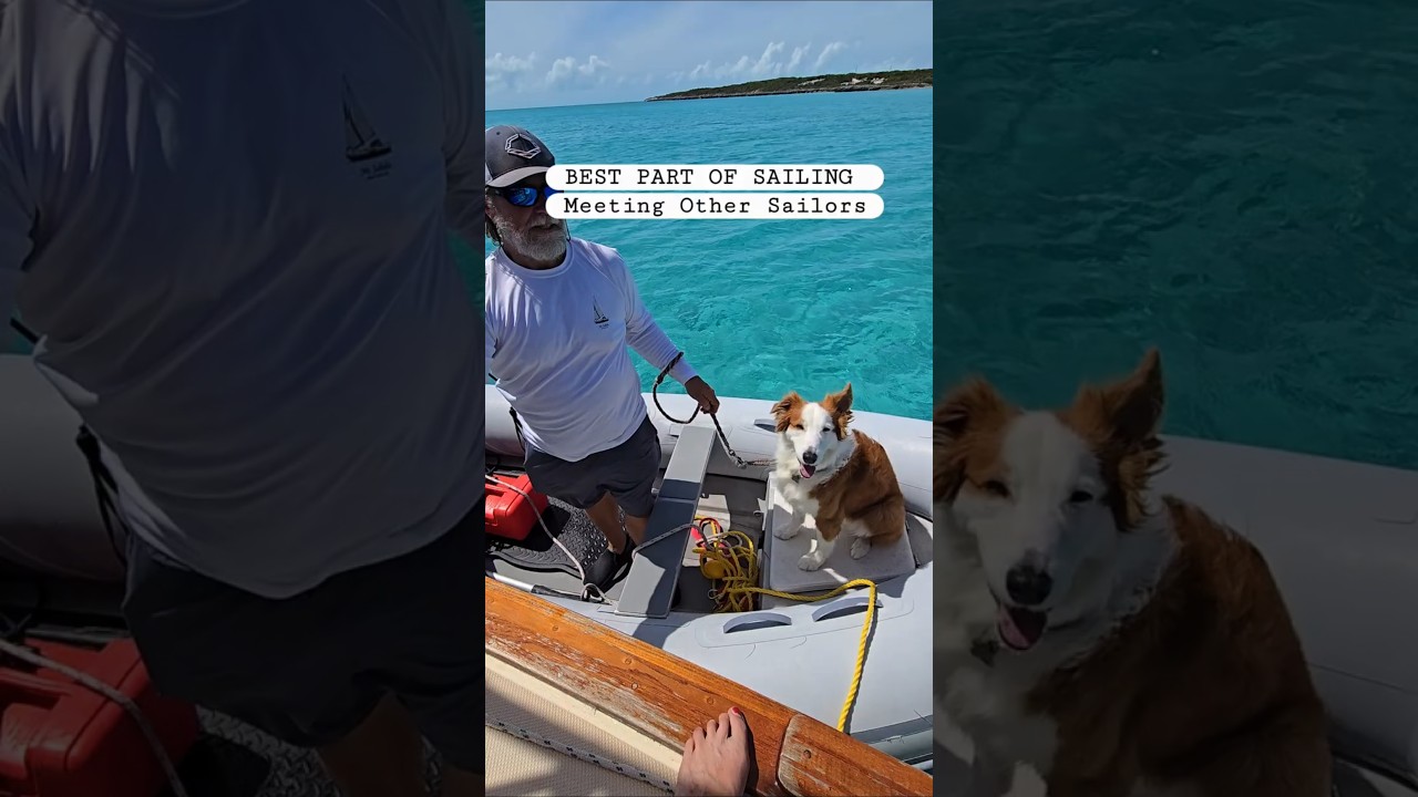 ⁣Best part of sailing is meeting the other sailors including dogs and cats and kids!