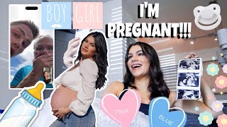 PREGNANCY VLOG | GENDER REVEAL, TELLING FAMILY, MATERNITY CLOTHING HAUL