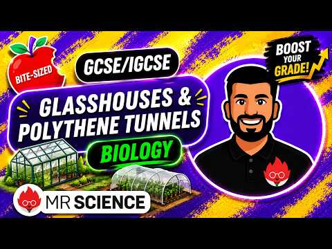 Glasshouses and Polythene tunnels | Bite-sized | GCSE | IGCSE Biology | Mr Science