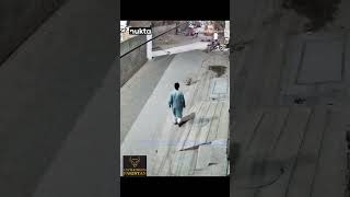 😱 🤯 🦁 Dangerous Lion Attack in Lahore #lion #cattleworld