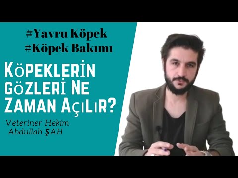 Video: Bu yaz sosisli sandviç kaçının nasıl hakkında serin ipuçları