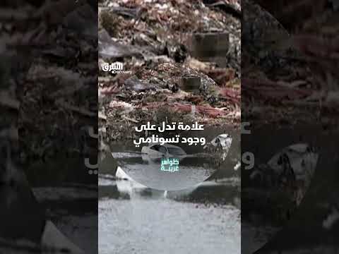 تسونامي اليابان 2011: كيف تشكلت الموجة المدمرة؟