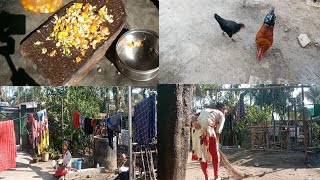 Laxmithapa  My simple everyday indian vlog 2020