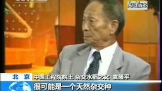 Yuan Longping - Le Père Du Super Riz Hybride