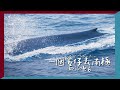 OMG!!!!我竟然有幸在南極見到藍鯨😭(尖叫)!!!!!｜一個女仔去南極EP6｜ANTARCTICA VLOG｜RedisPolly