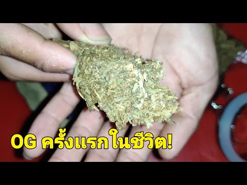 ดูดเนื้อ Oganic ออแกนิคครั้งเเ ทำเขียงข่อย!!! เขียงที่ดีเเละทำง่ายที่สุด….