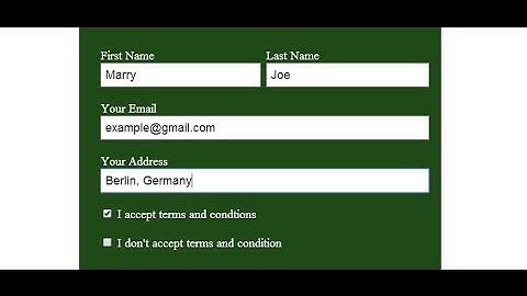 HTML form with input type checkbox || HTML and CSS
