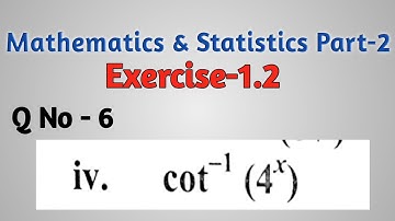 differentiation Exercise 1.2 Question 6 problem 4. mathematics and statistics part 2