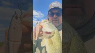 First glide bait fish… now I’m hooked #BassFishing #FishingLife #GlideBait #BigBass #FishingAddict