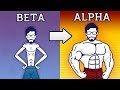 How To Become an Alpha Male (Animated)