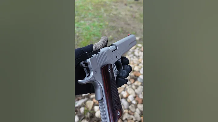 Kimber Stainless Target LS 10mm