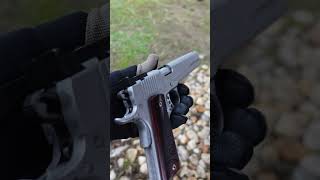 Kimber Stainless Target Ls 10Mm