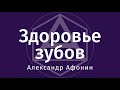 Здоровье зубов: причины сколов эмали, чёрного налёта, зубного камня и нарушенного прикуса