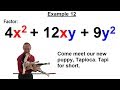 Algebra - Ch. 7: Factoring Practice Problems (13 of 21)  Example 12