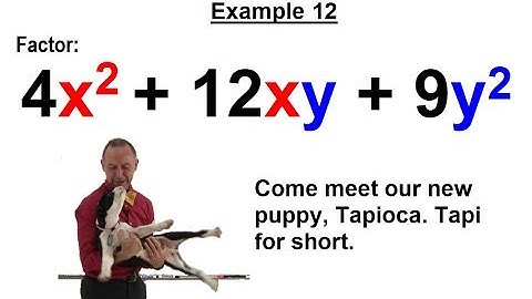 Algebra - Ch. 7: Factoring Practice Problems (13 of 21)  Example 12