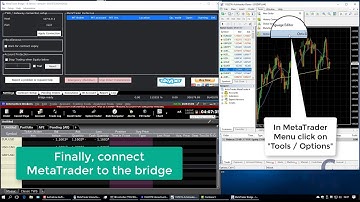 MetaTrader - Interactive Brokers Bridge Quickstart Tutorial
