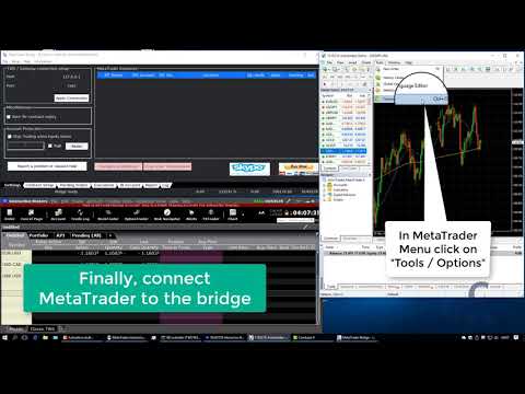 Interactive Brokers Metatrader Trade Copier Bridge Youtube