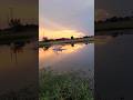 Rc Plane Crash In Water