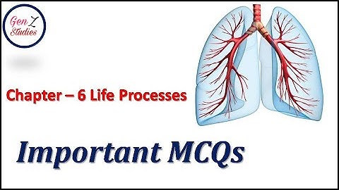 Important MCQs | Chapter-6 | Life Processes | Class 10 Science | CBSE | NCERT | Board Exams