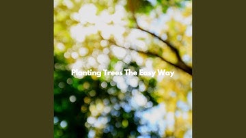 Stellar Moods for Knowing Essentials