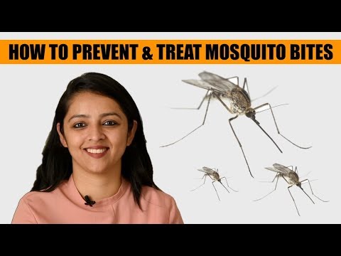 वीडियो: अपने बच्चे को कीड़ों के काटने से कैसे बचाएं
