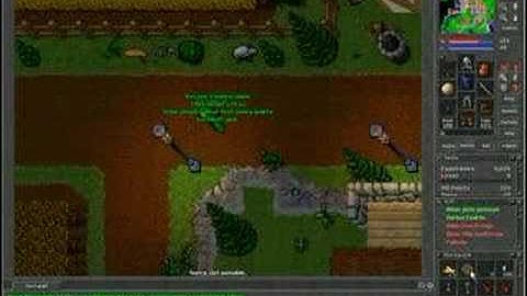 Tibia 100 chicken feathers!