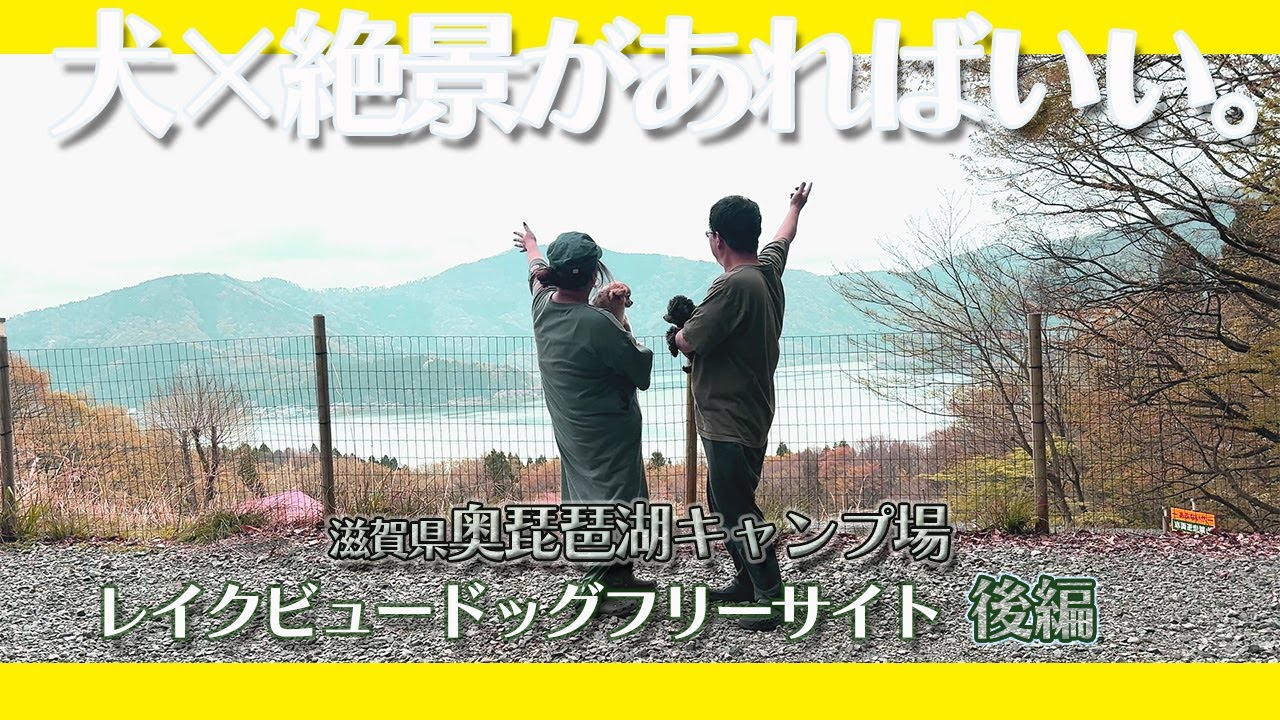 【奥琵琶湖キャンプ場 レイクビューサークルサイト】後編 絶景キャンプをまったりゆったり堪能しましたやで！【チャムス ブービースクエアテント4】【チワワ チワプー】【関西 犬 春 滋賀キャンプ】