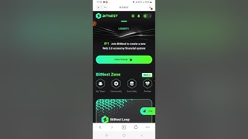 Automatic payment from Bitnest 