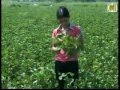 Kết quả sử dụng chế phẩm sinh học Vườn Sinh Thái Trung Việt - TH Hà Nội