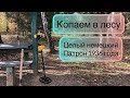 Нашел то что может взорваться.  Коп металоискателем в Лесу.