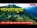 Hidden hamlet in darjeeling  palmajua  palmajua arivik homestay  offbeat north bengal destination