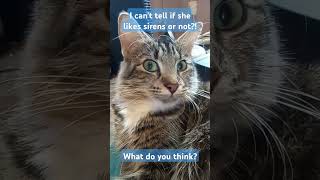 Download Lagu #cats #siren #sirens #model12 MP3