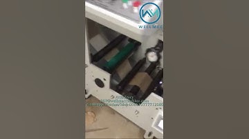 320mm 2 Color Label Flexographic Flexo Printing Machine