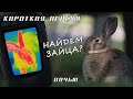 С тепловизором на зайца. Ночью. На сколько реально? (Короткая версия)