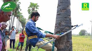 Palmyra (Thatti Chettu) Climbing |  Training for Gouds - Bhupalpally, Telangana | www.treeclimber.in