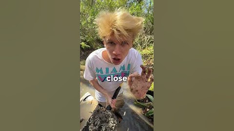 I Found Hundreds of Dollars of Shark Teeth!