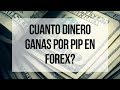 8. Cuanto DINERO ganas por PIP en Forex?