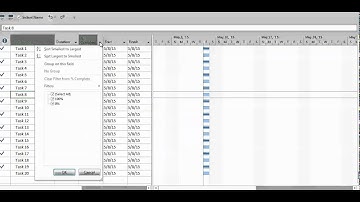 MS Project - Auto Filter