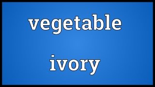 Vegetable ivory Meaning