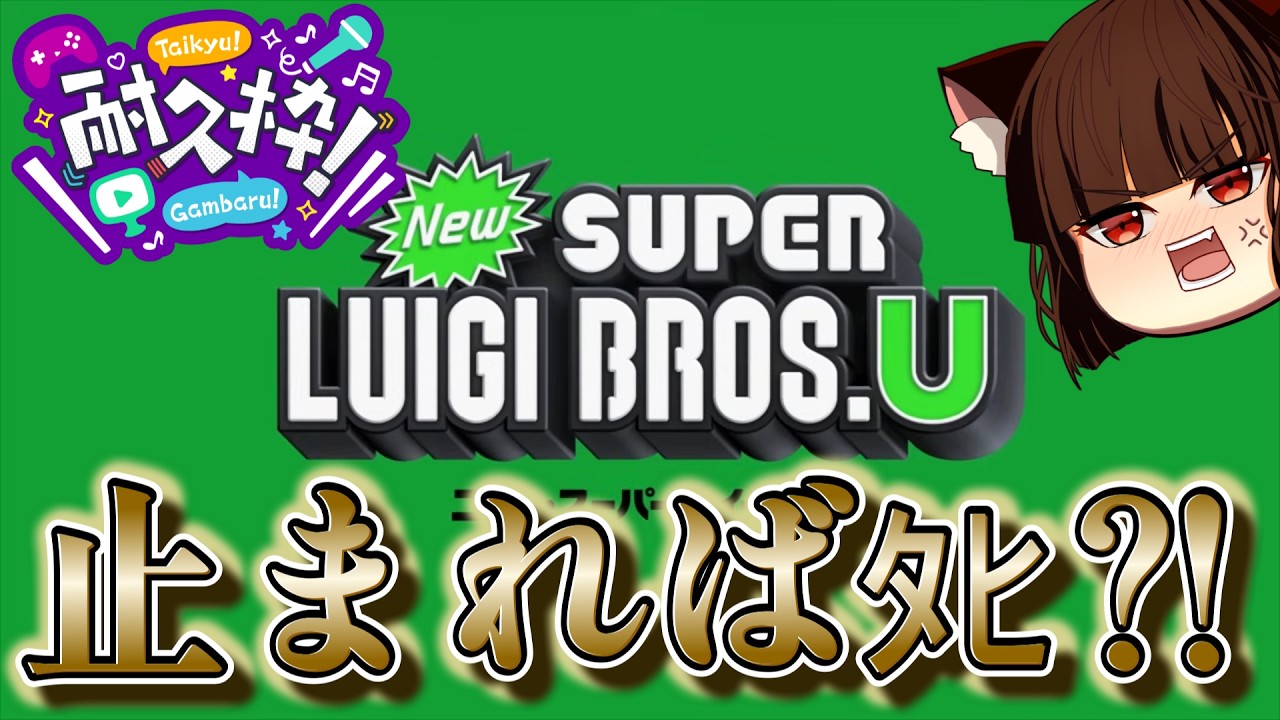New スーパーマリオブラザーズ U デラックス】えっ、何で2本分遊べる