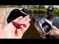 Bridge Bass Were CRUSHING The Craw Bridge Bass Were CRUSHING The Craw