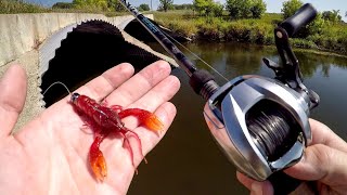 Bridge Bass Were CRUSHING The Craw! by NDYakAngler 108,919 views 6 months ago 23 minutes