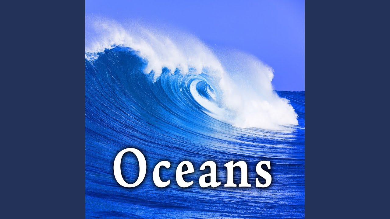 Large Group of Seagulls & Light Ocean Waves Lapping the Seashore