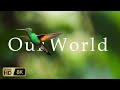 Our World 8K HDR (60 fps)